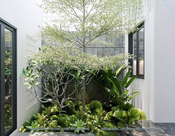 Thiết kế tiểu cảnh