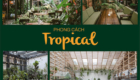 Phong cách Nhiệt đới - Tropical Syle