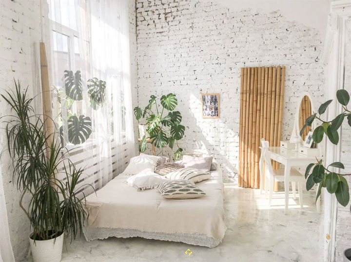 ánh sáng tự nhiên